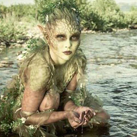 Dodgy Nymph