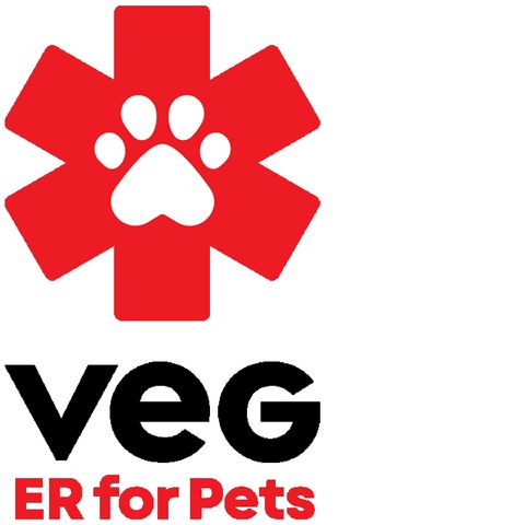 When Every Second Counts: Inside Emergency Veterinary Medicine