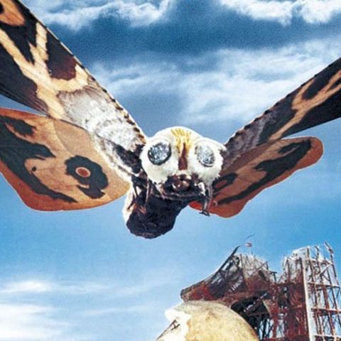 Mothra (1961) - Podcast/Discussion