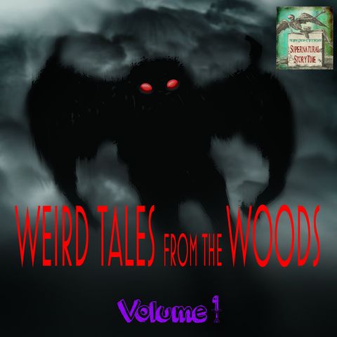 Weird Tales From The Woods | Volume 1 | Podcast E159