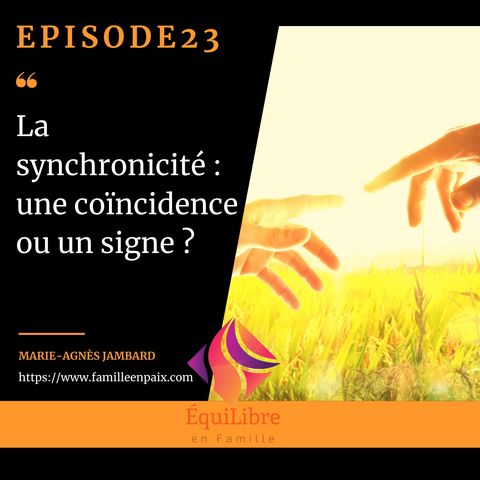 Episode 23 - La synchronicité : une coïncidence ou un signe ?