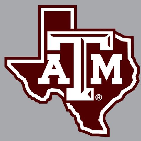 Texas A&M DB Demani Richardson