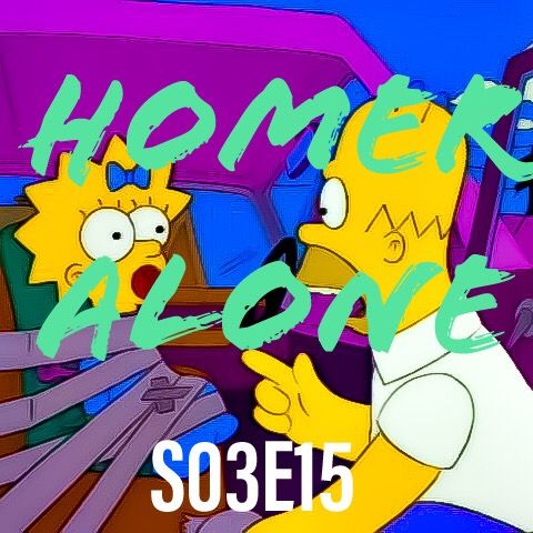 15) S03E15 (Homer Alone)