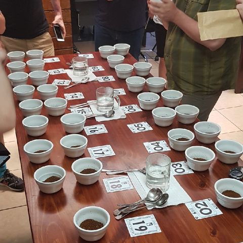 coffee origin trips in Costa Rica podcast 4