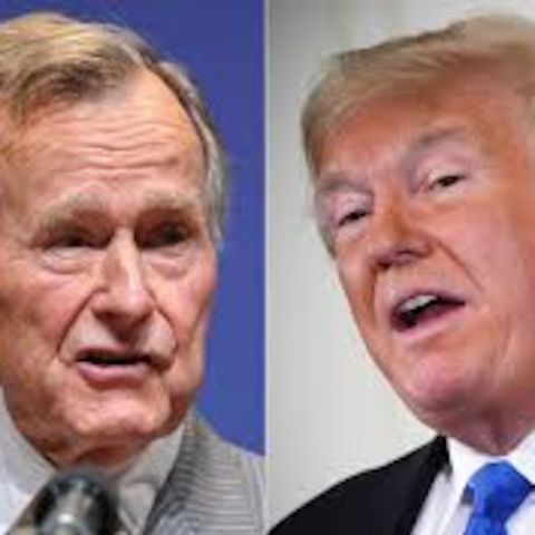 Bush and Trump