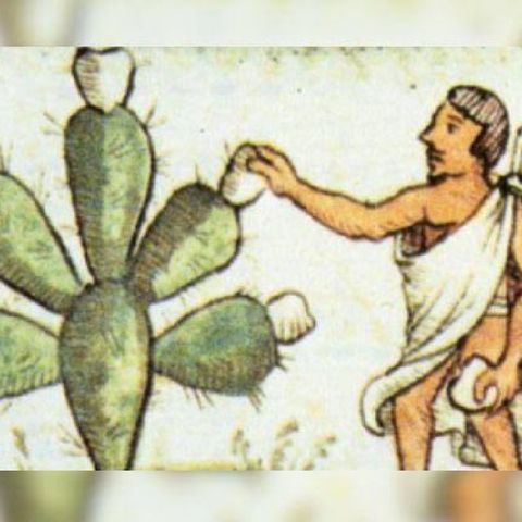 El Nopal