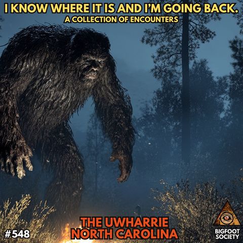 The Night Sasquatch Came to Dinner!