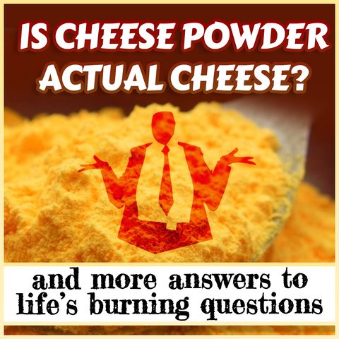 Is Cheese Powder Actual Cheese? (And more answers to life's burning questions)