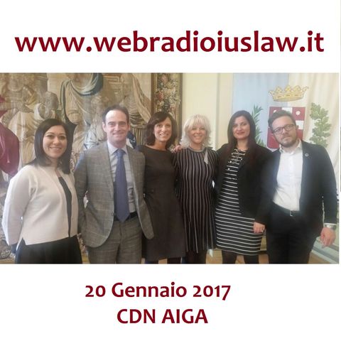 Conferenza Stampa del CDN AIGA - Aula del Consiglio del Comune di Treviso - 20 Gennaio 2017