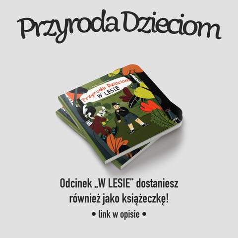 Przyroda Dzieciom #1: W lesie