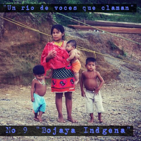Serie:  “Un río de voces que claman” Pro No 9 “Bojayá Indígena”