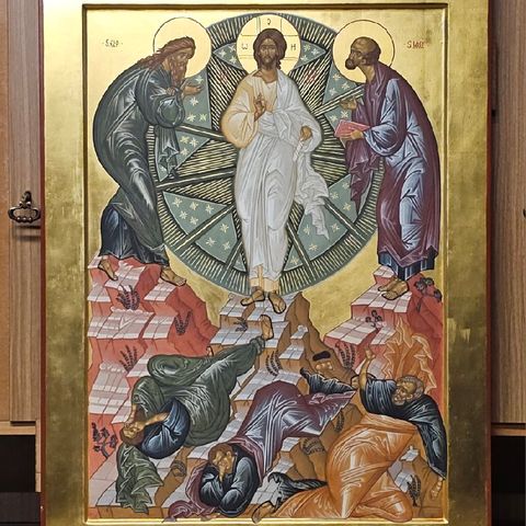 A volte la Parola di Dio ci mette a terra - Omelia della 2a quaresima anno A