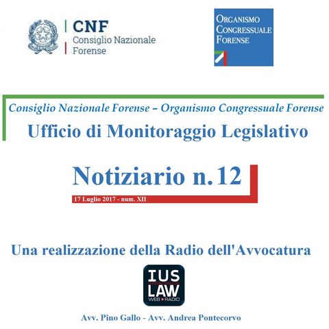 Notiziario n. 12 CNF/OCF - Ufficio di Monitoraggio Legislativo