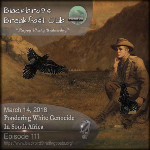Pondering White Genocide In South Africa - Blackbird9 Podcast