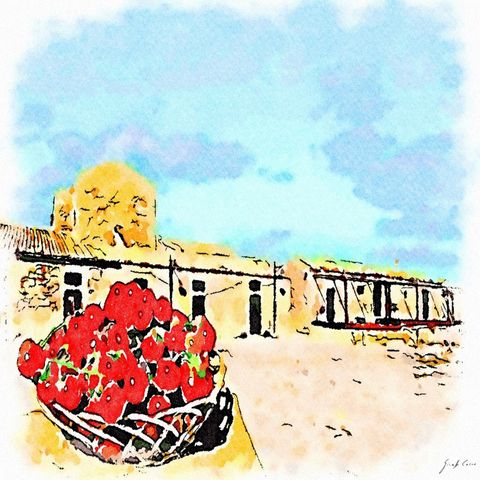 PACHINO la città del pomodoro ciliegino (Sicilia)