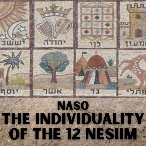 Naso - The Individuality of the 12 Nesiim