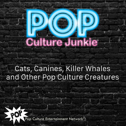 Cats, Canines, Killer Whales and Other Pop Culture Creatures
