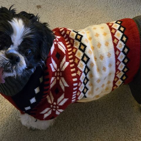 Sad for the holidays