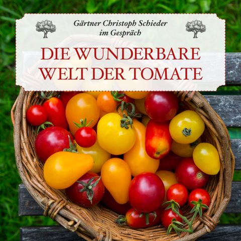 Paradeiser richtig pflanzen, pflegen & lagern: Die wunderbare Welt der Tomate - #57