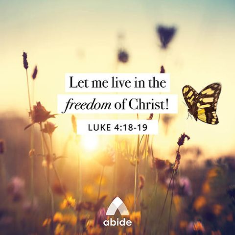 Breaking Free