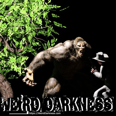 “True Bigfoot Stories – Some You’ve Heard, Others You May Never Have Heard!” #WeirdDarkness