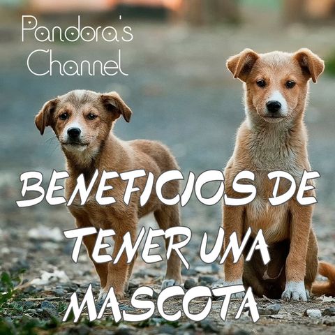 Beneficios mentales de tener mascotas.