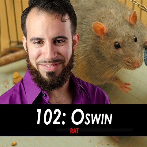Oswin the Rat
