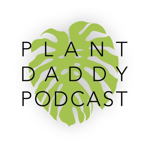 Episode 60: Jade Plant, Crassula ovata Plant Profile