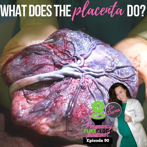 What does the placenta do? Pregnancy Pukeology Podcast - Ep. 90