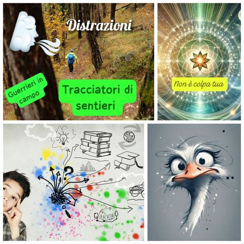 005 - DISTRAZIONI