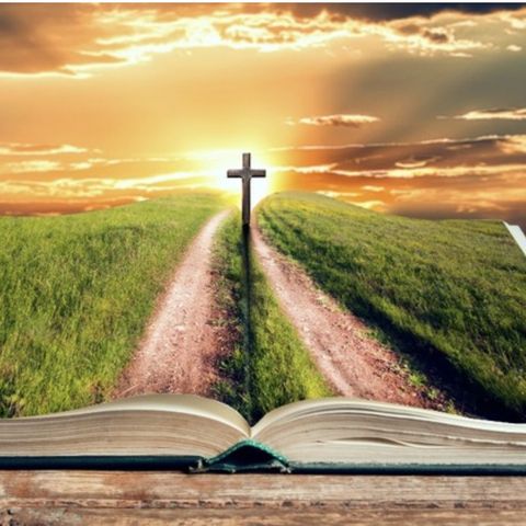 Isaiah chapter 46