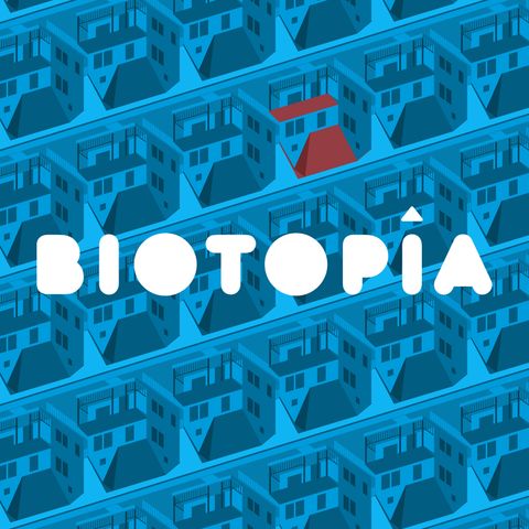 T01E05 - Capítulo 5: El referéndum