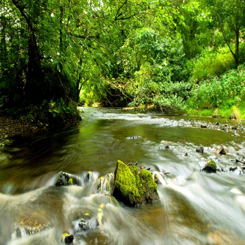 The Healing Waters