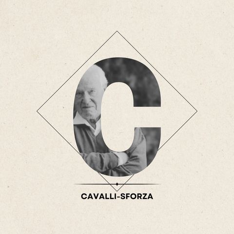 C- Cavalli-Sforza