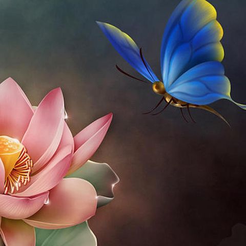 The Weekly Inspiration -  The Lotus Blue Butterfly