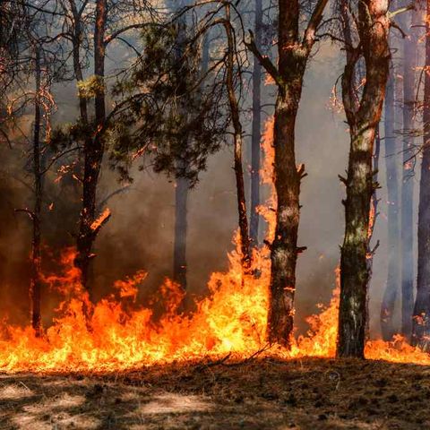 Graziano Canu (“Videolina”): «Nel Montiferru il più grosso incendio degli ultimi 20 anni»