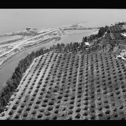 Thirsty Water Carriers: The Legacy of Colonialism in the Galilee