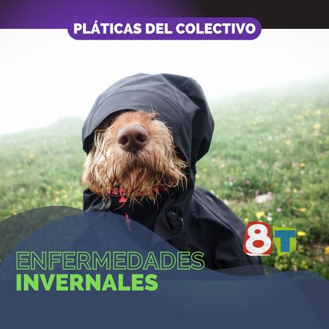 Enfermedades invernales
