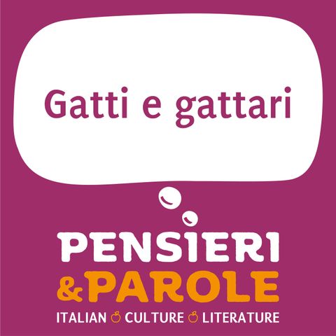159_Gatti e gattari