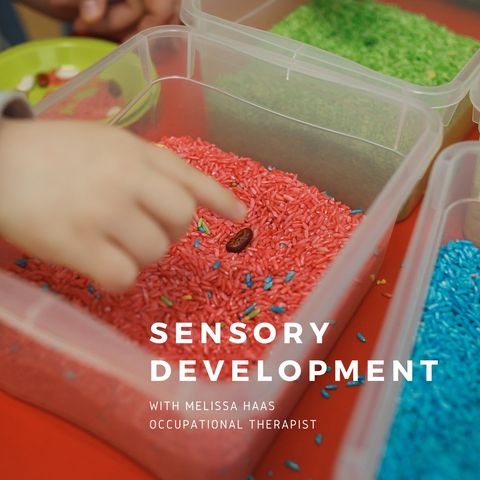 Sensory Development