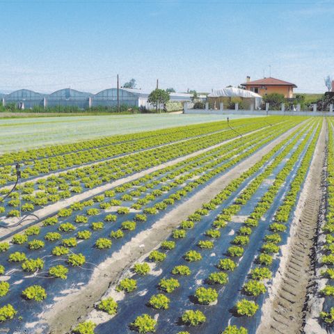 Le plastiche biodegradabili non impattano sugli ecosistemi