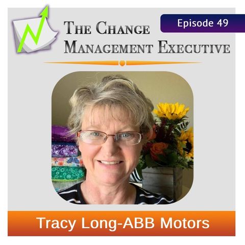 "Incremental Change via Stories" with Tracy Long