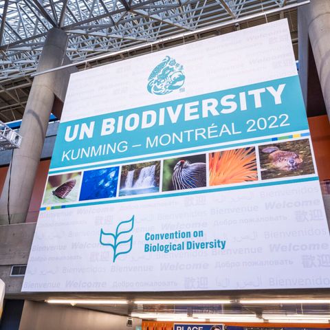 Accordo per la Biodiversità, una sfida chiave per la cooperazione