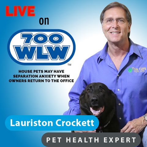 House pets may have separation anxiety when owners return to the office || 700 WLW Cincinnati || 4/12/21