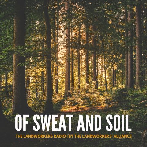 Roots: Of Sweat And Soil