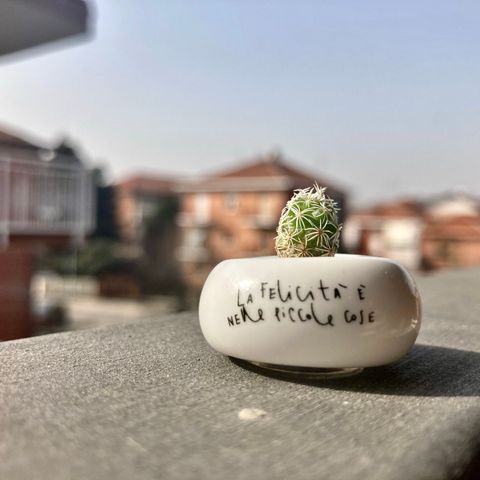 pratica l'ahimsa