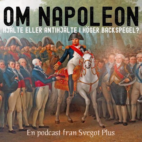 Om Napoleon - hjälte eller antihjälte i höger backspegel?