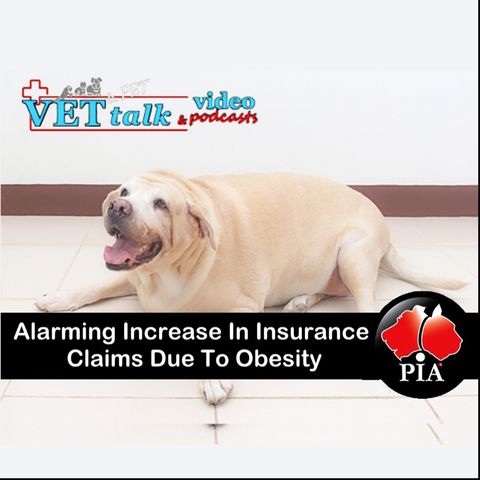 Insurance Claims Dramatic Increase Due To Obesity - Nadia Crighton