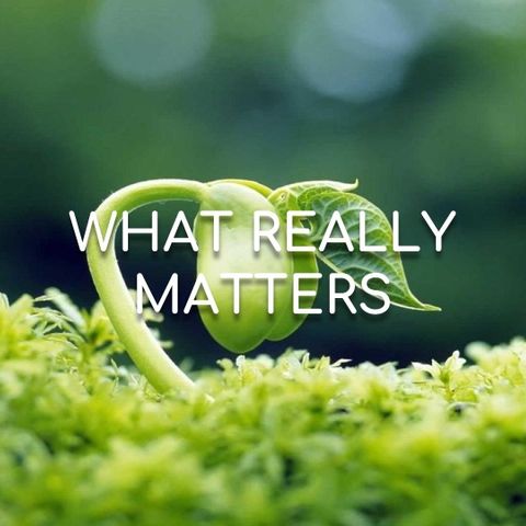 What Really Matters - Morning Manna #2888