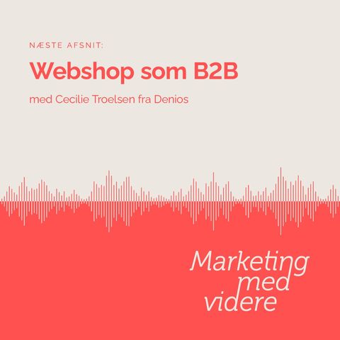 Afsnit #45: Webshop/e-commerce som B2B